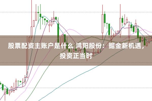 股票配资主账户是什么 鸿阳股份：掘金新机遇，投资正当时