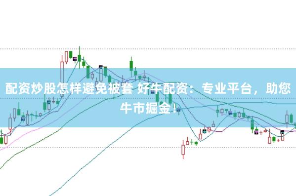配资炒股怎样避免被套 好牛配资：专业平台，助您牛市掘金！