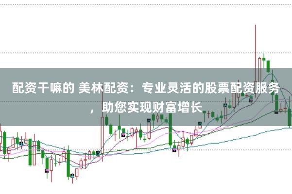 配资干嘛的 美林配资：专业灵活的股票配资服务，助您实现财富增长