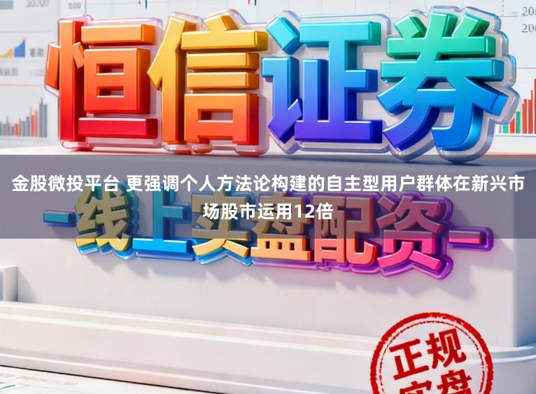 金股微投平台 更强调个人方法论构建的自主型用户群体在新兴市场股市运用12倍