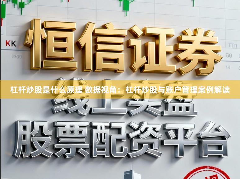 杠杆炒股是什么原理 数据视角：杠杆炒股与账户管理案例解读