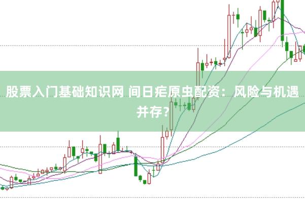 股票入门基础知识网 间日疟原虫配资：风险与机遇并存？